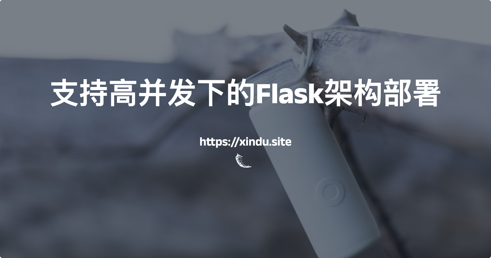 支持高并发下的Flask架构部署